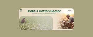 India’s Cotton Sector: Growth, Productivity and Global Competitiveness