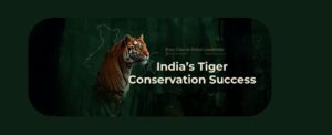India’s Tiger Conservation Success: From Crisis to Global Leadership
