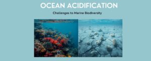 Ocean Acidification: Challenges to Marine Biodiversity